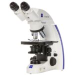 Microscope ZEISS ( Germany)