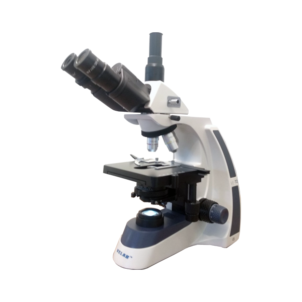 VE-T2-1_2000x-1.png Biological Triocular Microscope Velab VE-T2 USA - Image 1