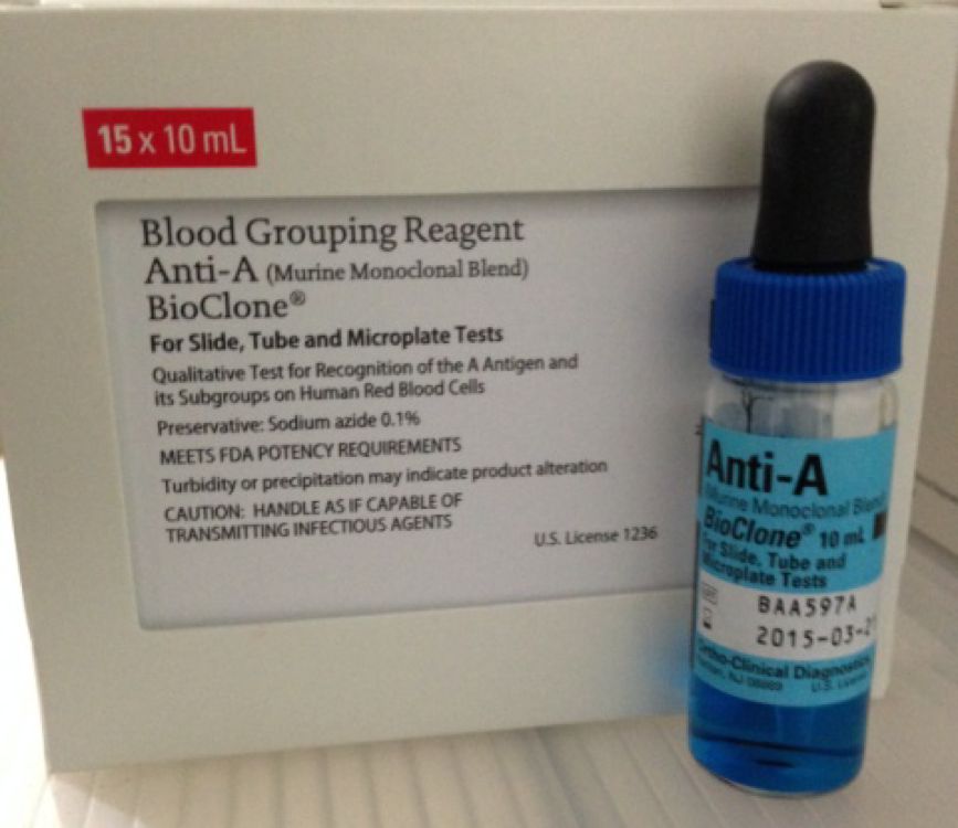 anti-A.bmp-1.jpg Bioclone-Anti - A ( 10 ml ) - Image 1